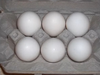 Six Eggs Image